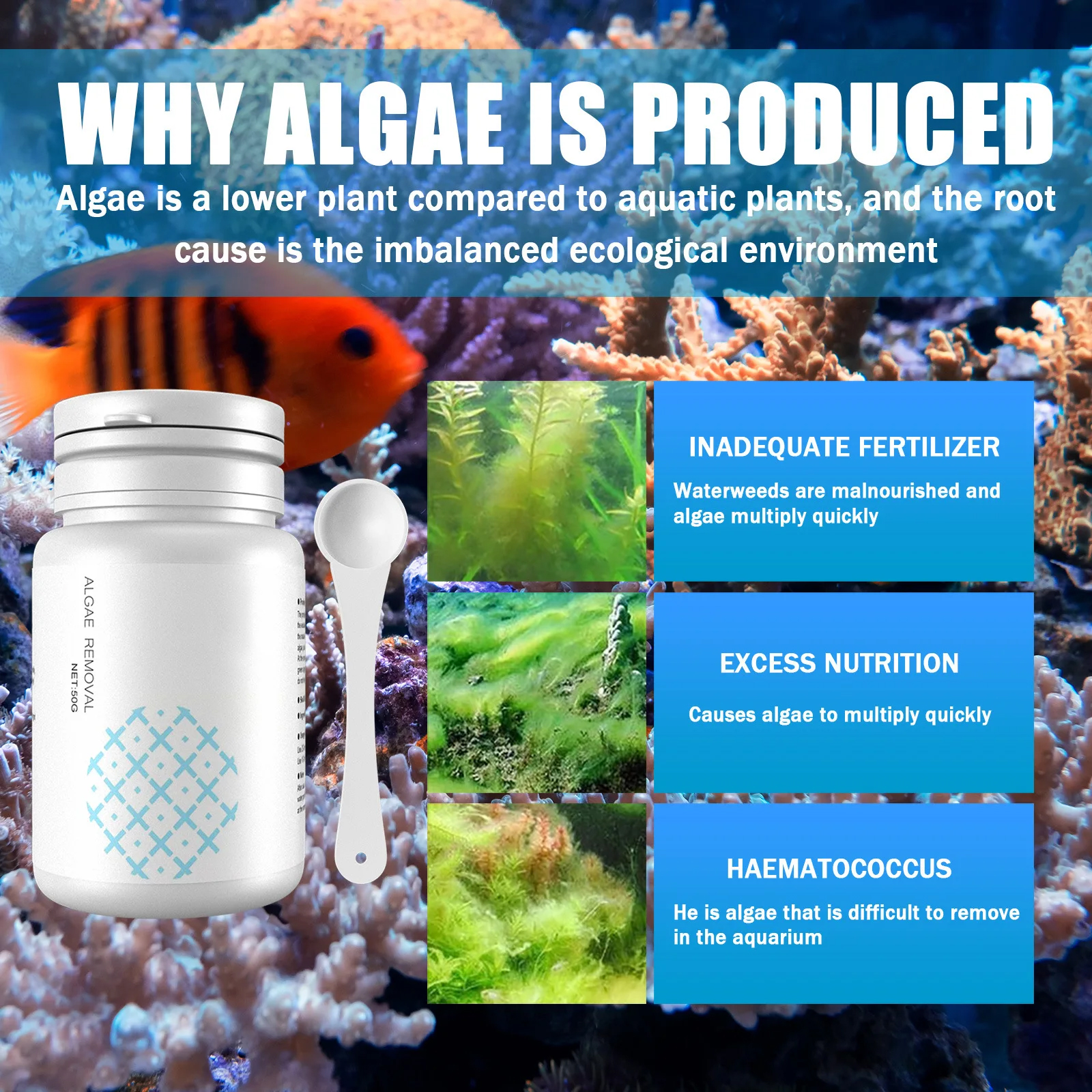 Algae Control Tablets for Aqua - Water Purification Tablet のレビューと価格