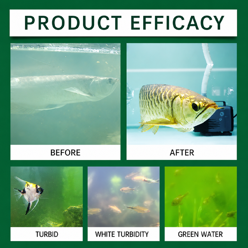 Aquarium Water Purification Ta - Water Purification Tablet のレビューと価格