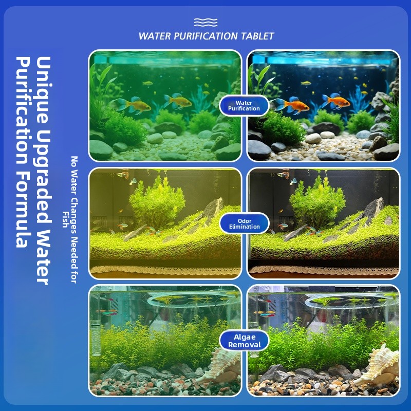 Advanced Water Purification Ta - Water Purification Tablet のレビューと価格
